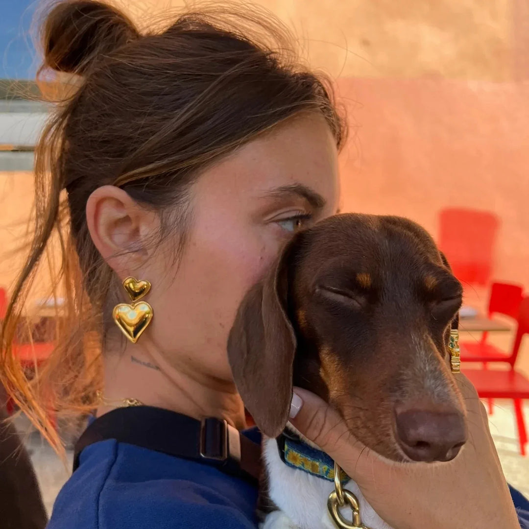 BB™ | Heart Earrings 14k